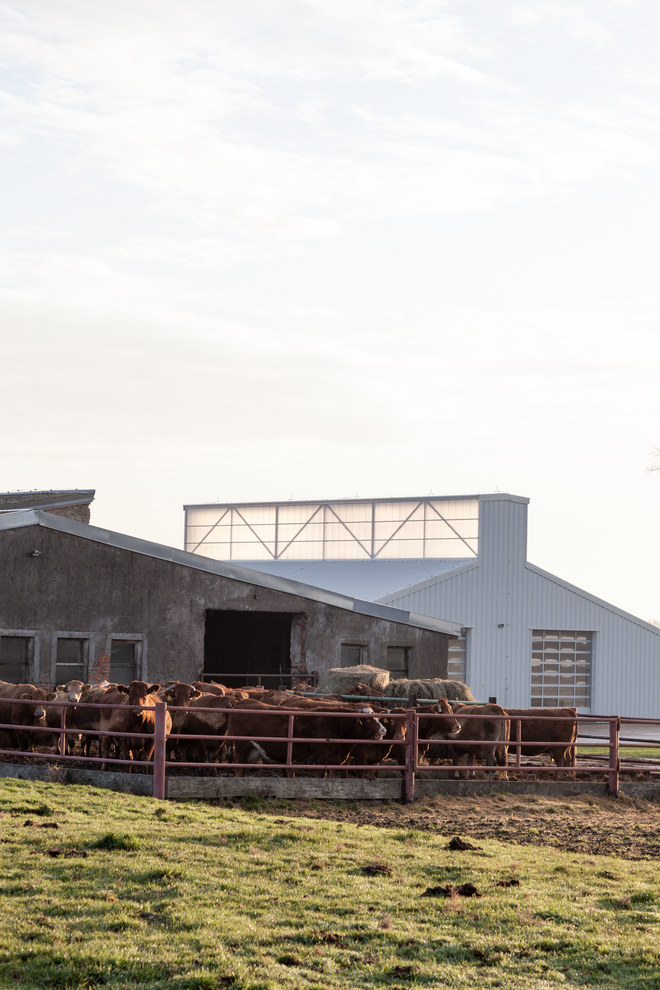 Landwirtschaft trifft auf Poesie: White Shed - eine Werkstatthalle in Opatov von Atelier 111 Architekti