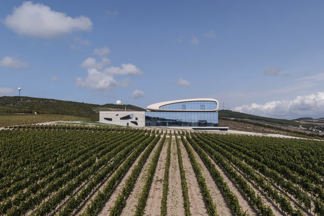 Côte Rocheuse Winery by Severin Proekt 